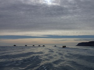 Beluga Racing to Beluga site