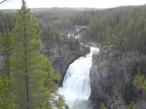 One of many Yellowstone River Falls