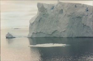 Have a look at seals on the ice flow in front of this iceberg. Is that a big berg?